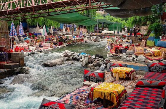 HABIBA ESSENCE PACK – (LADIES ONLY)